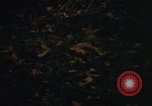 Image of Sylvania Recreation Area Michigan United States USA, 1967, second 36 stock footage video 65675068315