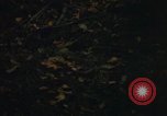 Image of Sylvania Recreation Area Michigan United States USA, 1967, second 39 stock footage video 65675068315