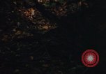 Image of Sylvania Recreation Area Michigan United States USA, 1967, second 42 stock footage video 65675068315