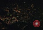 Image of Sylvania Recreation Area Michigan United States USA, 1967, second 45 stock footage video 65675068315