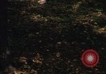 Image of Sylvania Recreation Area Michigan United States USA, 1967, second 48 stock footage video 65675068315