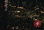 Image of Sylvania Recreation Area Michigan United States USA, 1967, second 49 stock footage video 65675068315
