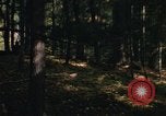 Image of Sylvania Recreation Area Michigan United States USA, 1967, second 50 stock footage video 65675068315