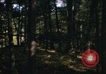 Image of Sylvania Recreation Area Michigan United States USA, 1967, second 51 stock footage video 65675068315