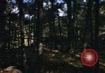 Image of Sylvania Recreation Area Michigan United States USA, 1967, second 52 stock footage video 65675068315
