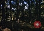 Image of Sylvania Recreation Area Michigan United States USA, 1967, second 53 stock footage video 65675068315