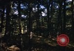 Image of Sylvania Recreation Area Michigan United States USA, 1967, second 54 stock footage video 65675068315