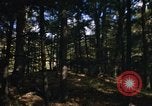 Image of Sylvania Recreation Area Michigan United States USA, 1967, second 55 stock footage video 65675068315