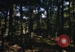 Image of Sylvania Recreation Area Michigan United States USA, 1967, second 56 stock footage video 65675068315