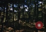 Image of Sylvania Recreation Area Michigan United States USA, 1967, second 57 stock footage video 65675068315