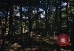 Image of Sylvania Recreation Area Michigan United States USA, 1967, second 58 stock footage video 65675068315