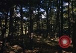 Image of Sylvania Recreation Area Michigan United States USA, 1967, second 59 stock footage video 65675068315