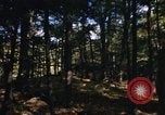 Image of Sylvania Recreation Area Michigan United States USA, 1967, second 60 stock footage video 65675068315
