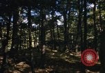 Image of Sylvania Recreation Area Michigan United States USA, 1967, second 61 stock footage video 65675068315