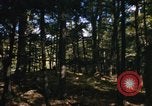 Image of Sylvania Recreation Area Michigan United States USA, 1967, second 62 stock footage video 65675068315
