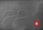 Image Bataille du cap Engaño Océan Pacifique, 1945, de la seconde 56 séquences d'archives historiques vidéo 65675068319