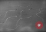 Image Bataille du cap Engaño Océan Pacifique, 1945, de la seconde 58 séquences d'archives historiques vidéo 65675068319