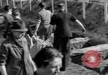 Image of Burial of Wöbbelin Concentration Camp victims Ludwigslust Germany, 1945, second 7 stock footage video 65675068332