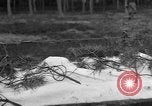 Image of Burial for Wöbbelin Camp victims Ludwigslust Germany, 1945, second 1 stock footage video 65675068334