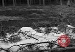 Image of Burial for Wöbbelin Camp victims Ludwigslust Germany, 1945, second 3 stock footage video 65675068334