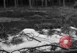 Image of Burial for Wöbbelin Camp victims Ludwigslust Germany, 1945, second 4 stock footage video 65675068334