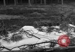 Image of Burial for Wöbbelin Camp victims Ludwigslust Germany, 1945, second 5 stock footage video 65675068334