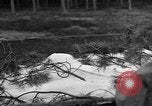 Image of Burial for Wöbbelin Camp victims Ludwigslust Germany, 1945, second 6 stock footage video 65675068334