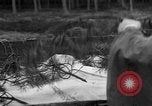 Image of Burial for Wöbbelin Camp victims Ludwigslust Germany, 1945, second 7 stock footage video 65675068334