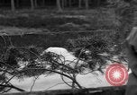 Image of Burial for Wöbbelin Camp victims Ludwigslust Germany, 1945, second 9 stock footage video 65675068334