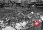 Image of Burial for Wöbbelin Camp victims Ludwigslust Germany, 1945, second 10 stock footage video 65675068334