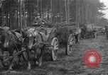Image of Burial for Wöbbelin Camp victims Ludwigslust Germany, 1945, second 14 stock footage video 65675068334