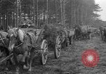 Image of Burial for Wöbbelin Camp victims Ludwigslust Germany, 1945, second 15 stock footage video 65675068334