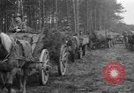 Image of Burial for Wöbbelin Camp victims Ludwigslust Germany, 1945, second 16 stock footage video 65675068334