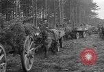 Image of Burial for Wöbbelin Camp victims Ludwigslust Germany, 1945, second 19 stock footage video 65675068334