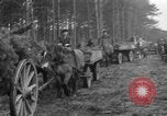 Image of Burial for Wöbbelin Camp victims Ludwigslust Germany, 1945, second 20 stock footage video 65675068334