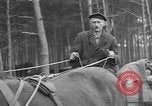Image of Burial for Wöbbelin Camp victims Ludwigslust Germany, 1945, second 26 stock footage video 65675068334