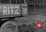 Image of Burial for Wöbbelin Camp victims Ludwigslust Germany, 1945, second 39 stock footage video 65675068334