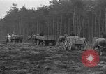Image of Burial for Wöbbelin Camp victims Ludwigslust Germany, 1945, second 41 stock footage video 65675068334