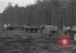 Image of Burial for Wöbbelin Camp victims Ludwigslust Germany, 1945, second 42 stock footage video 65675068334