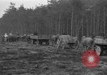 Image of Burial for Wöbbelin Camp victims Ludwigslust Germany, 1945, second 43 stock footage video 65675068334