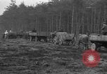 Image of Burial for Wöbbelin Camp victims Ludwigslust Germany, 1945, second 44 stock footage video 65675068334