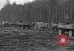 Image of Burial for Wöbbelin Camp victims Ludwigslust Germany, 1945, second 45 stock footage video 65675068334