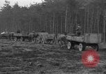 Image of Burial for Wöbbelin Camp victims Ludwigslust Germany, 1945, second 48 stock footage video 65675068334