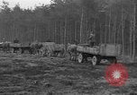 Image of Burial for Wöbbelin Camp victims Ludwigslust Germany, 1945, second 49 stock footage video 65675068334