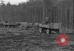 Image of Burial for Wöbbelin Camp victims Ludwigslust Germany, 1945, second 50 stock footage video 65675068334