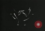 Standbild Struktur des Atoms zu den Kindern erklärt Kanada, 1948, aus Sekunde 35 historischem Filmmaterial Videoclip 65675068343