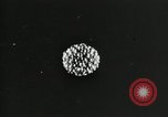 Standbild Struktur des Atoms zu den Kindern erklärt Kanada, 1948, aus Sekunde 49 historischem Filmmaterial Videoclip 65675068343