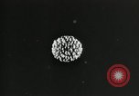 Standbild Struktur des Atoms zu den Kindern erklärt Kanada, 1948, aus Sekunde 53 historischem Filmmaterial Videoclip 65675068343