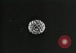 Standbild Struktur des Atoms zu den Kindern erklärt Kanada, 1948, aus Sekunde 54 historischem Filmmaterial Videoclip 65675068343