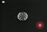 Standbild Struktur des Atoms zu den Kindern erklärt Kanada, 1948, aus Sekunde 59 historischem Filmmaterial Videoclip 65675068343